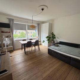 Cozy one-room apartment with a great location on Amager