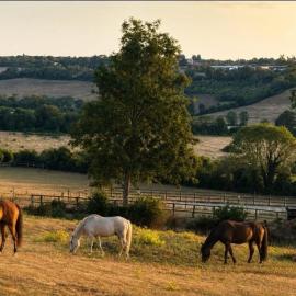 Luxury Cottage Escape Sleeps 4 with Hot Tub & Pool, hotel en Keston