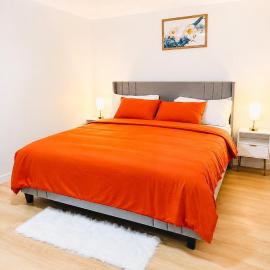 Frelau Bright&Cozy Suite