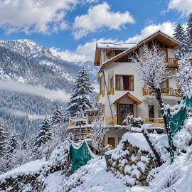 The Woodstock Hotels and Vilaa by Yellow Flower with Free Parking, Hotel in Jibhi