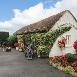 Teresa's Cottage