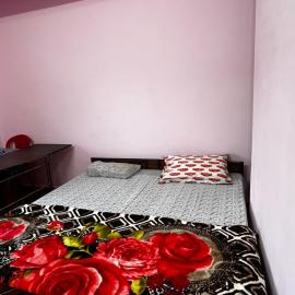 Thakur Fast Food and Home Stay, hotel u gradu Kharāg