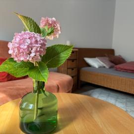 Cozy apartment near Darmstadt & forest, Hotel in Roßdorf