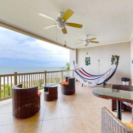 The Palms 603