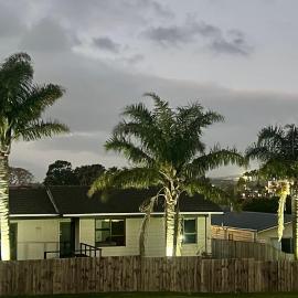 Pukekohe 3 Palms 45 Hooper Ave