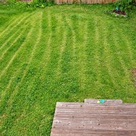 Downtown Moncton Oasis - Sleeps 5 - Walk to Riverfront & Avenir Centre