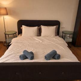 Uniria Studio Balotești Near Therme and Otopeni Airport Free Private Parking