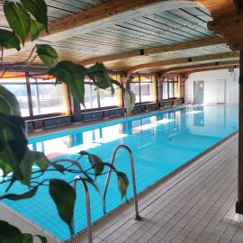 Terrassenpark-Schonach, 1000m height, indoor-pool, sauna, ski, tennis court, forest, wood-floor, leather sofa, white modern beds, hotel di Schonach