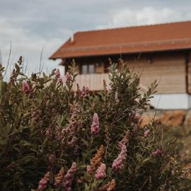 Oberwald Chalets 3, hotel a Breungeshain