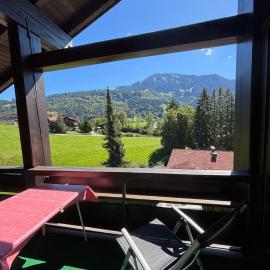 Ferienwohnung Grüntenausblick Bergblick & 2 Balkone im Allgäu, hotel in Rettenberg