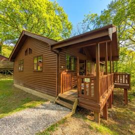 Acorn Lodge A cosy log cabin in a beautiful woodland setting
