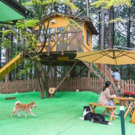小路裏園 Kojiuraen
