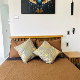 Loft Colibri Zona Centro en Aguascalientes