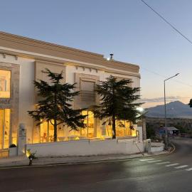 Taş Bahçe, hotel u gradu Guzelyurt