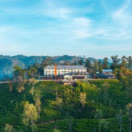 Newburgh Ella - The Tea Factory Resort