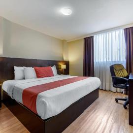 Comfort Inn San Luis Potosi, hotel v destinaci San Luis Potosí