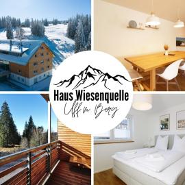 Haus Wiesenquelle - Fewo 10 "Uff'm Berg", Feldberg