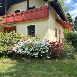 Capybara Guest House, hotel em Spittal an der Drau
