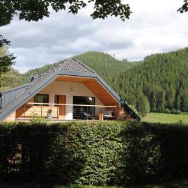 Hirsch Apartment - Veitsch