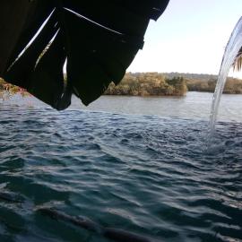 Serene Waters Homestay Goa, Hotel in Panaji