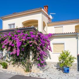 Guest House Croatia, hotel a Fažana