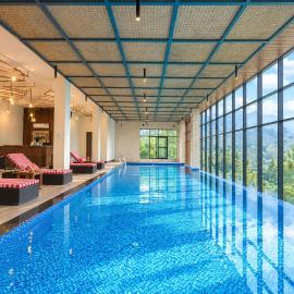 Jungle Lodge Resort & Spa