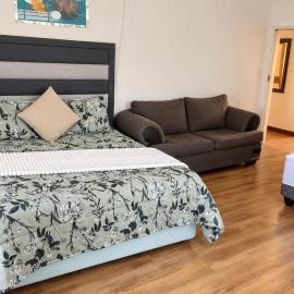 The Pele Guest House, hotell sihtkohas Carletonville