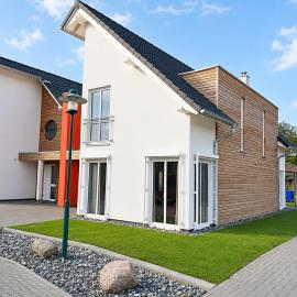 Sanddorn Breege 2