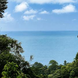 Villa SOLENSSE - Ocean and Jungle View
