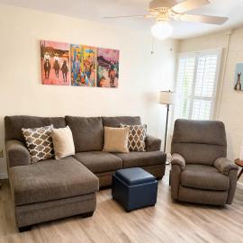 NEW Saguaro Serenity