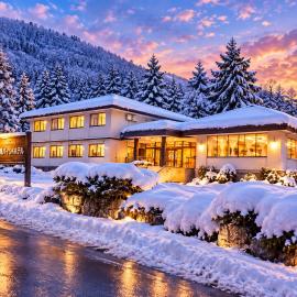 Hakuba Park Hotel
