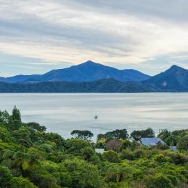 Treetops & Tide Cottage - Moetapu Holiday Home