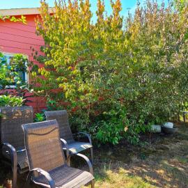 Garden Oasis in the Heart of Beaverton, hotel v destinaci Beaverton