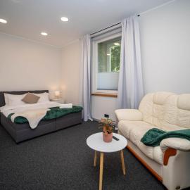 Pet-Friendly central apartment with Free Parking