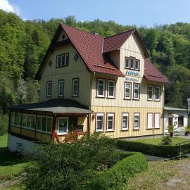 Pension Waldfrieden、ターレのホテル
