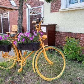 Ferienwohnung - Neu Dessau