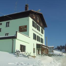 Hotel Chalet Alpino