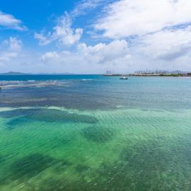 Suncrest Reef