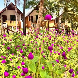 The Tottam Beach Hotel - Trincomalee