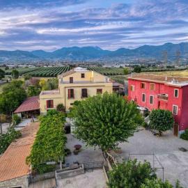 Tenuta degli Ulivi - Dimora Contadina