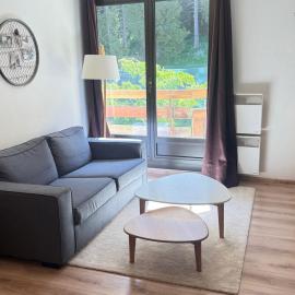 Appartement cosy 2 pièces au pied des pistes avec balcon - FR-1-557-26