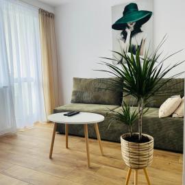 Apartament 25, viešbutis Torunėje