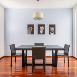Condesa Residence Amsterdam D Sunny 2Bed 1Bath Apt in Condesa