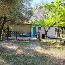 Sabina Olive bungalow