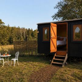 Black Sheep - Handcrafted Shepherds Hut in the South Downs