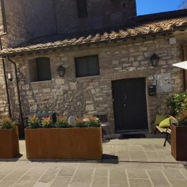 La Gatta sul Tetto