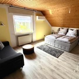 Klimatisierte Ferienwohnung Schloßblick in Geisenheim am Rhein - Rheingau