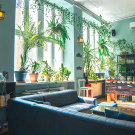 The Little Havana Party Hostel