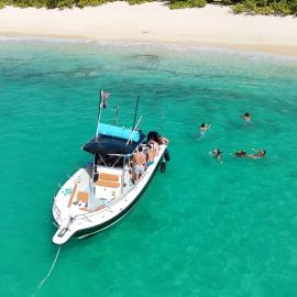 Black Octopus Tours
