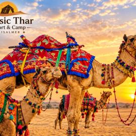 Classic Thar Resorts &Camps Jaisalmer, отель в городе Джайсалмер